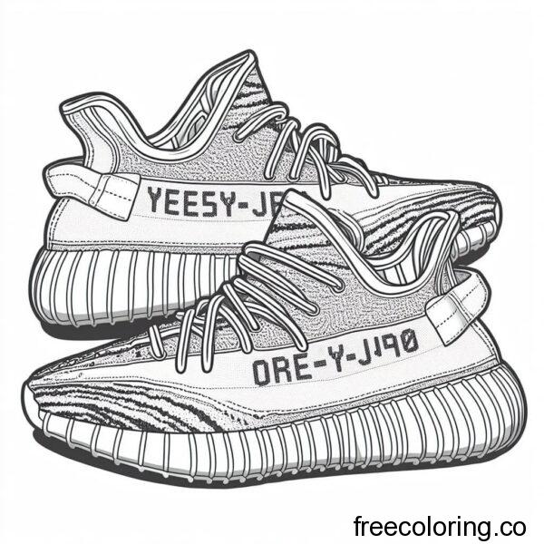 a pair of yeezy nike shoes