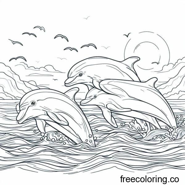dolphins swimming for coloring 1