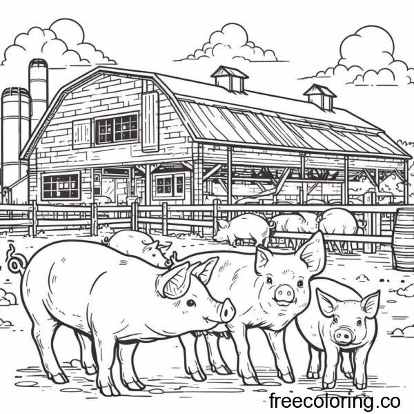 drawing of a farm of pigs 1