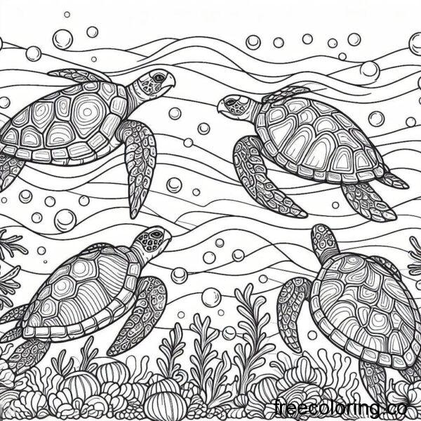drawing of turtles for coloring 6