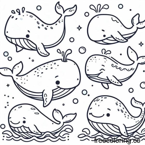 drawing of whales for coloring 3