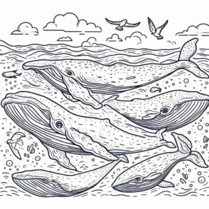 drawing of whales for coloring 4