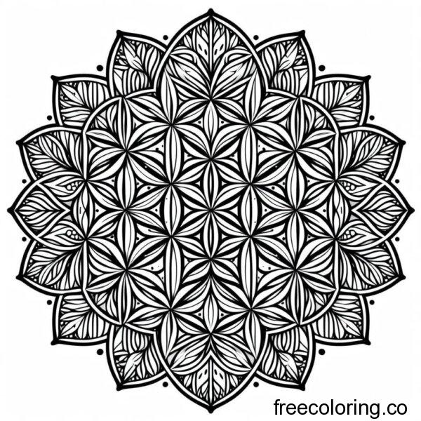intricate design of a mandala flower 6