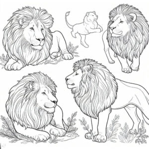 lions drawing for coloring 1