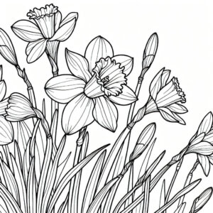 daffodil flowers e