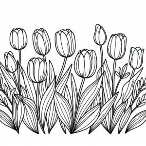tulip flowers d